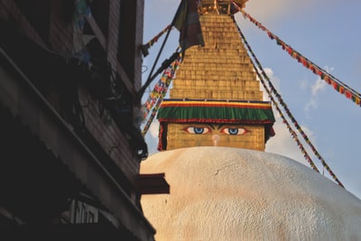 棕色和绿色混凝土建筑
